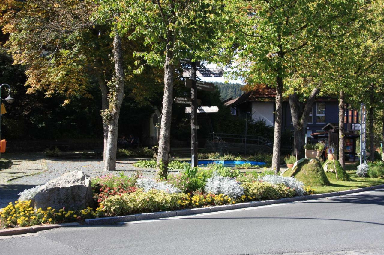 Kurpark Domizil Villa Altenau  Exterior photo